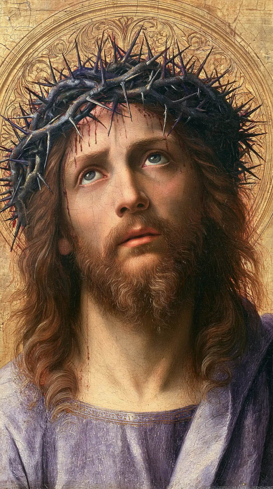 Jesus Crowned with Thorns — The Appeal with a Lace-Like Nimbus