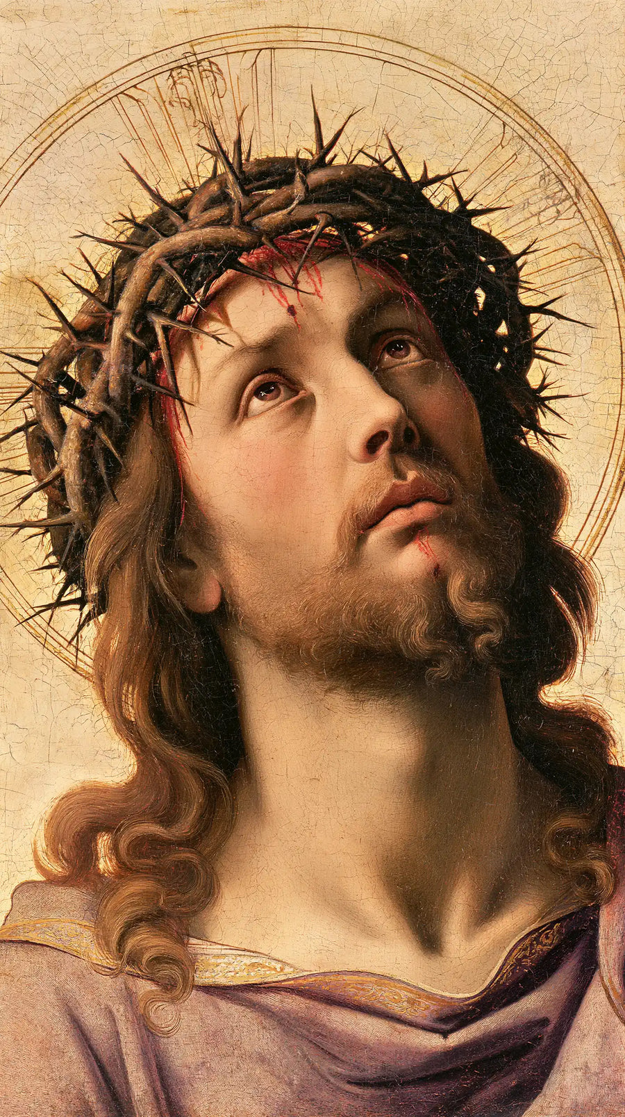 Jesus Crowned with Thorns — The Nimbus around the Silent Appeal