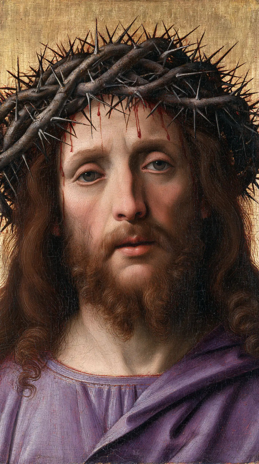 Jesus Crowned with Thorns — The Presence with Violet Folds