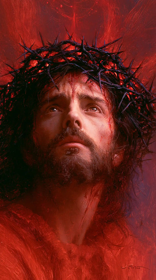 Jesus crowned with thorns with hidden glory in suffering in Hidden Glory in Suffering style, portrait Christian artwork no. 5