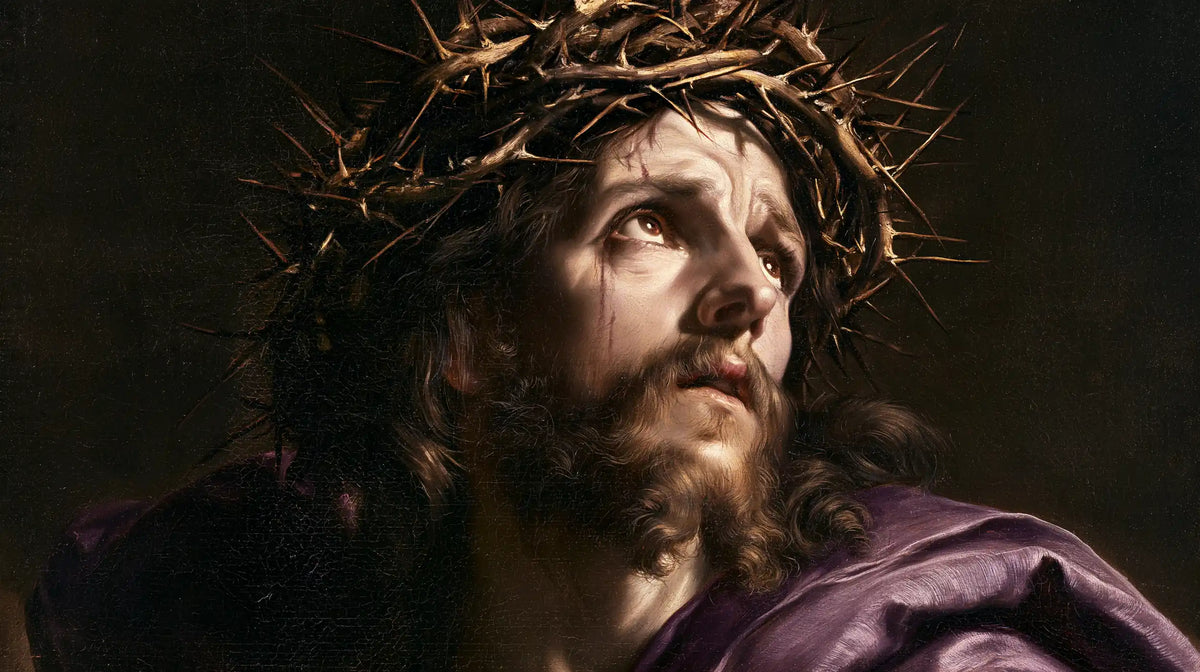 Jesus Crowned with Thorns — The Tear among Satin Folds