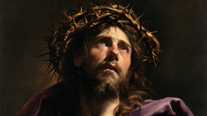 Jesus Crowned with Thorns — The Broad Crown of the Pleading Face
