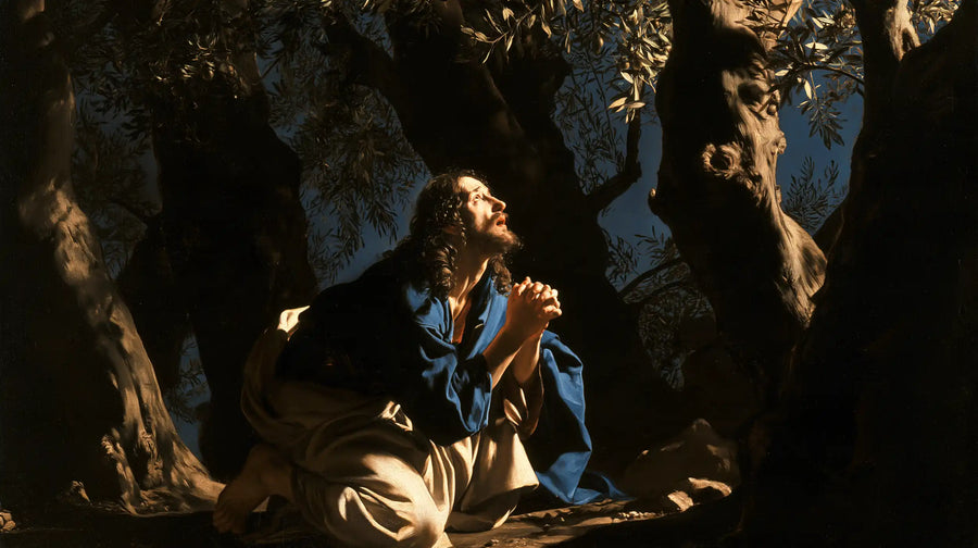 Jesus in Gethsemane — A Glimpse of Sky among the Olives