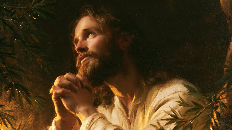 Jesus in Gethsemane - Devotional Portrait of Jesus in Gethsemane · Landscape n° 8