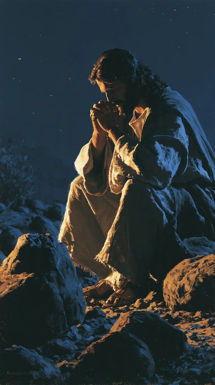 Jesus in the Desert — Prayer within the Fold of Light